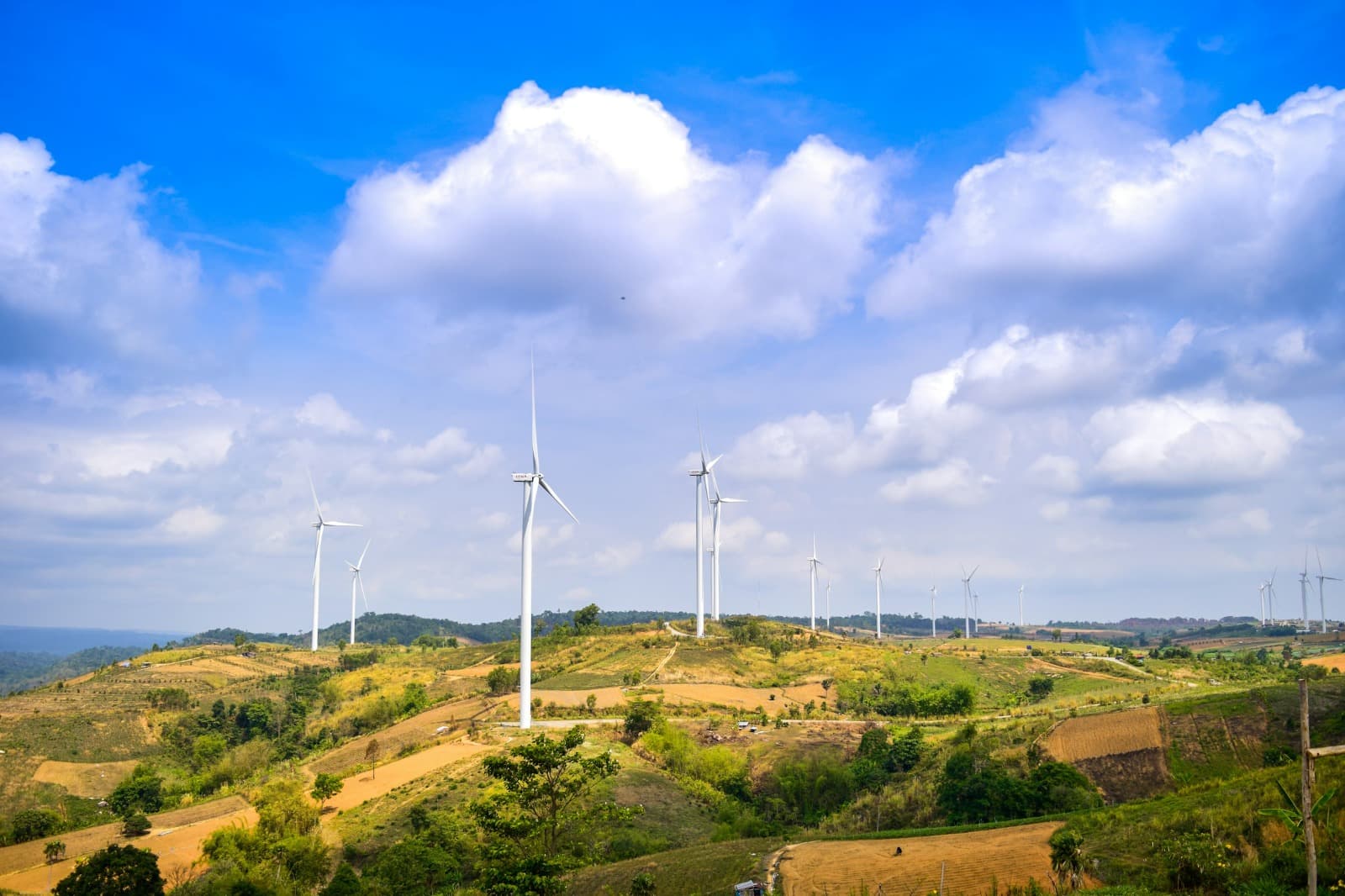 Smart Homes & Sustainable Living: The Agami Approach