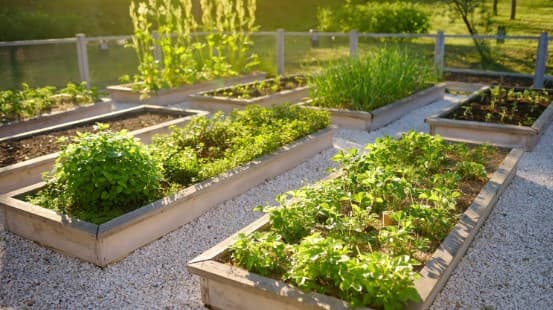 Boisar's Only Township with Sustainability Features